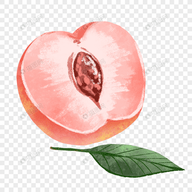 樱桃视频APPAPP应用