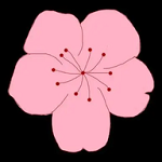 黄色视频软件下载APP应用